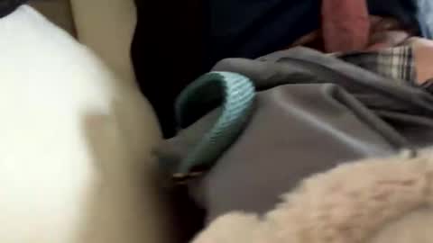 Snapshot of anonomousloser chatting on 03/19/26, 02:43 anonomousloser online show from 03/19/26, 02:43