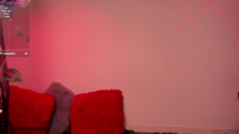 Snapshot of another_teo chatting on 01/26/25, 06:28 Jordan Mateo online show from 01/26/25, 06:28