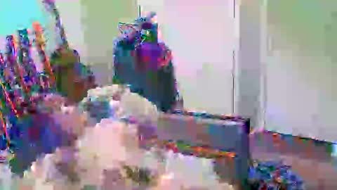 anssyboy696 online show from 10/11/25, 05:22