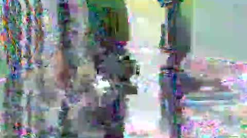 anssyboy696 online show from 11/07/25, 07:36