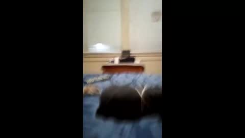 anthonymichael691973668762 online show from 03/03/26, 07:14