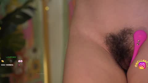 Nell. online show from 12/16/24, 09:35