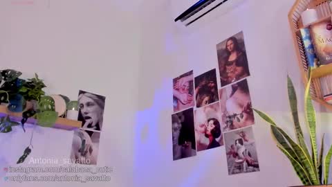 o ANTO online show from 03/11/26, 06:36