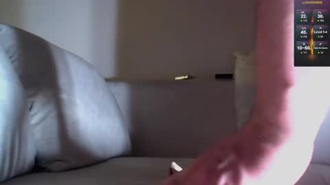 antonni_ online show from 02/24/25, 12:41