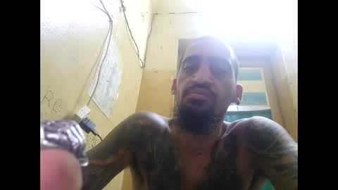 apapal12 online show from 03/12/26, 04:51