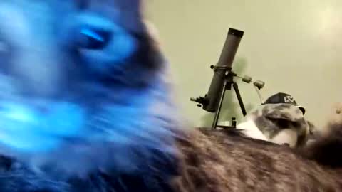 Aphrodite60 online show from 01/12/25, 06:28