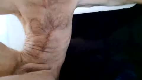 Snapshot of apollobest77 chatting on 12/25/24, 01:19 apollobest77 online show from 12/25/24, 01:19