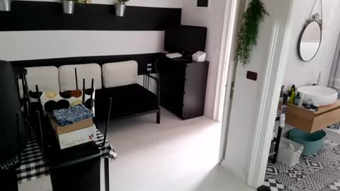 Snapshot of apollobest77 chatting on 01/19/25, 12:17 apollobest77 online show from 01/19/25, 12:17