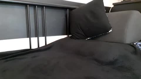 Snapshot of apollobest77 chatting on 09/23/25, 04:10 apollobest77 online show from 09/23/25, 04:10