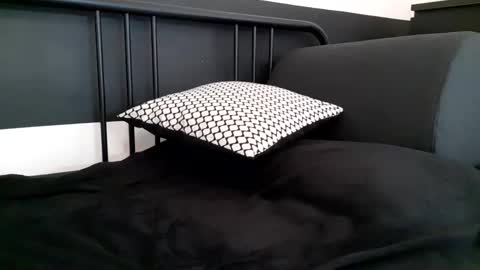 apollobest77 online show from 02/10/26, 02:43