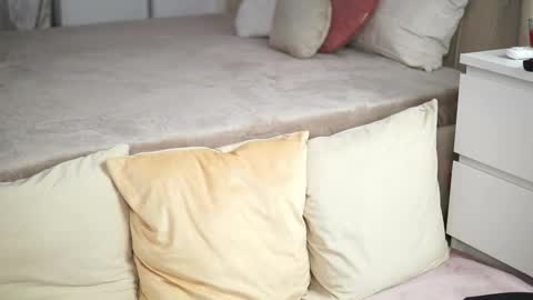 Laura online show from 12/05/25, 07:32