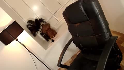 ARABELLA online show from 04/01/26, 02:12