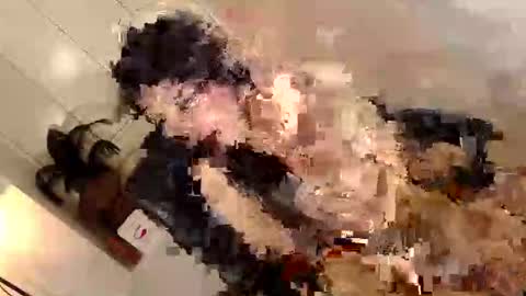 ARABELLA online show from 06/02/26, 02:35