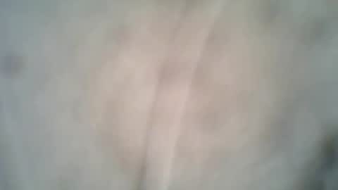 olo online show from 10/08/25, 06:38