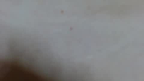 Snapshot of ariana_28 chatting on 02/02/25, 04:15 Ariana lvarez online show from 02/02/25, 04:15