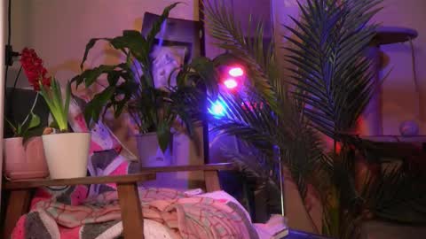 Olivka online show from 03/20/26, 06:40