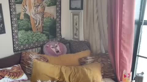 Arielle Ari online show from 03/16/26, 04:55