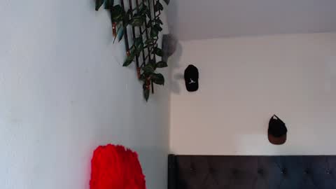chris online show from 01/29/25, 07:11
