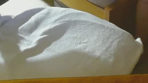 Snapshot of arnie12 chatting on 12/22/24, 08:47 Arnie online show from 12/22/24, 08:47