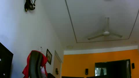 arnold_forfun online show from 04/10/26, 10:53