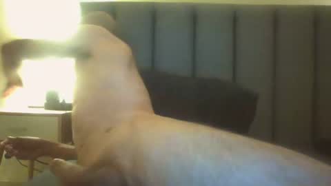 Snapshot of arnoldmir chatting on 07/12/26, 08:22 Arnoldmir online show from 07/12/26, 08:22