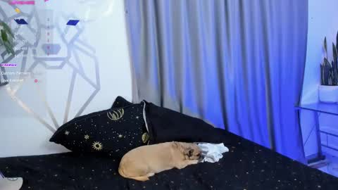 Aron Santoro online show from 01/12/25, 04:31