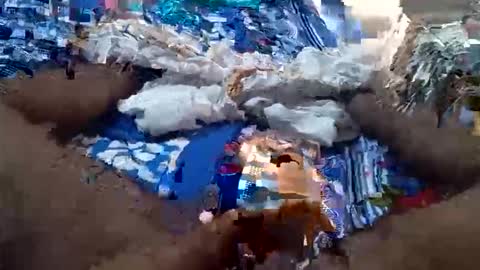 arshkhant987 online show from 09/16/25, 05:41