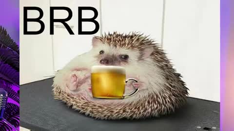 AshleyAshe  online show from 02/16/25, 11:26