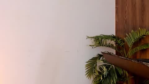 my name real is camilo online show from 12/28/24, 07:11