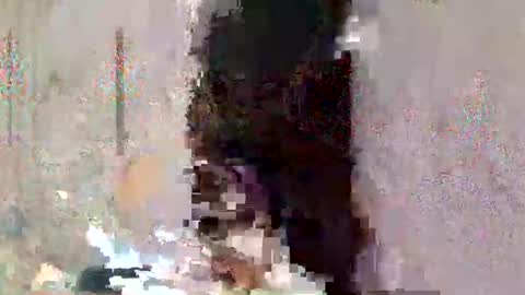 asian_cummer7 online show from 04/02/26, 02:26