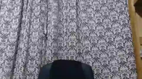 aslanne online show from 05/30/26, 09:45