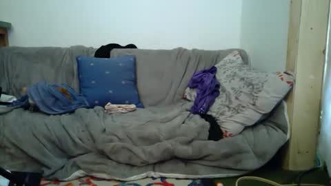 aspiringturtlegirl online show from 02/16/26, 08:49