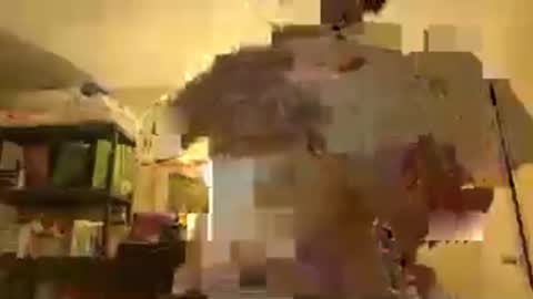 Patty online show from 11/30/25, 03:32