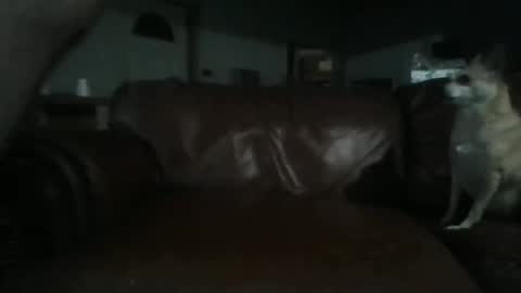 Snapshot of assholeslut9000 chatting on 06/02/26, 04:03 Tell me spread and Ill spread online show from 06/02/26, 04:03