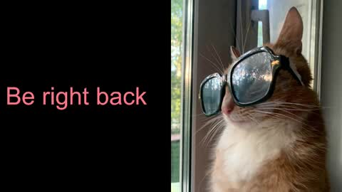 Snapshot of astra_lis chatting on 02/17/25, 10:40 Astra online show from 02/17/25, 10:40