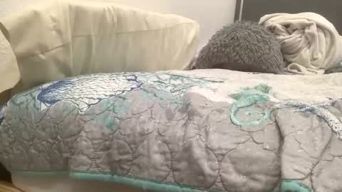 astrologyboy online show from 04/22/26, 02:36