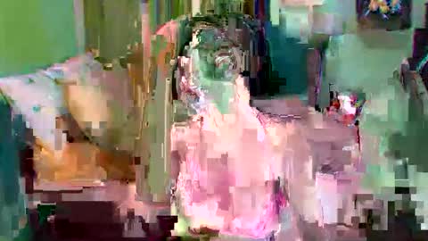 asuntapony online show from 09/11/25, 03:06