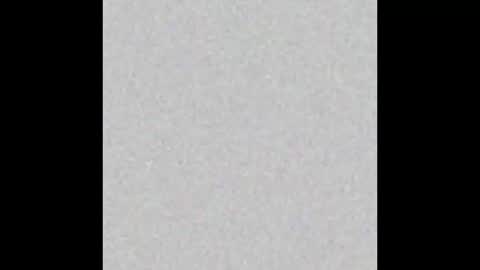 Carolina online show from 03/27/26, 11:54