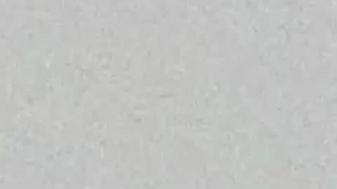Carolina online show from 07/09/26, 11:58