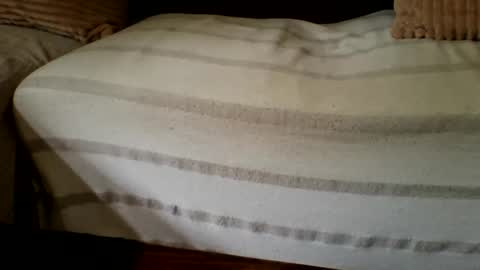 The Atypical Fit Cat online show from 04/27/26, 11:03