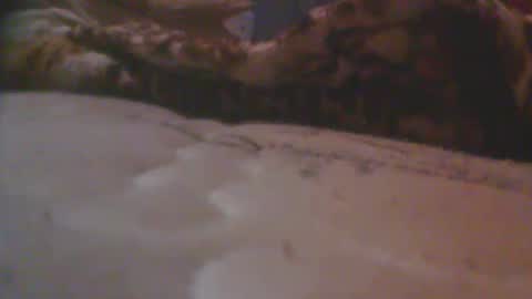 love spouse 768785628 online show from 05/18/26, 01:24