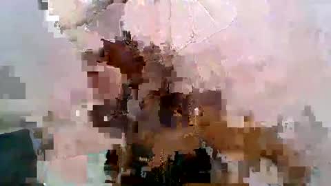 aurelia107 online show from 05/31/26, 03:08