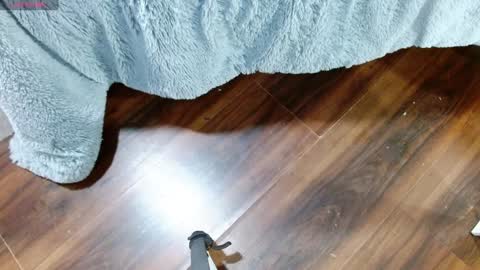 Aurora online show from 01/28/25, 12:32