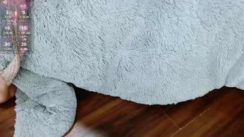 Aurora online show from 01/29/25, 12:45