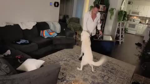 Snapshot of auroraandorion chatting on 10/16/25, 11:28 Aurora and Orion online show from 10/16/25, 11:28