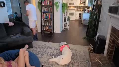 Snapshot of auroraandorion chatting on 11/03/25, 10:10 Aurora and Orion online show from 11/03/25, 10:10