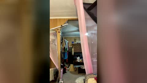 Destiny Nicole online show from 04/11/26, 08:13