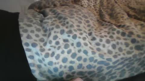 Snapshot of aussiecockpumper76 chatting on 03/04/25, 05:21 Aussiecockpumper76 online show from 03/04/25, 05:21