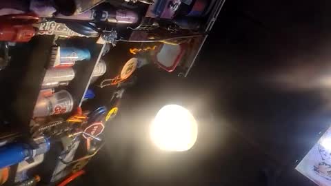 Pluke online show from 01/11/26, 06:13