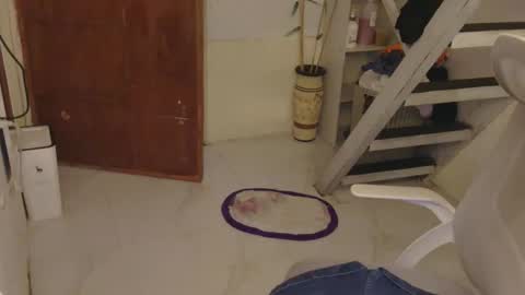 Rhian online show from 06/01/26, 04:58